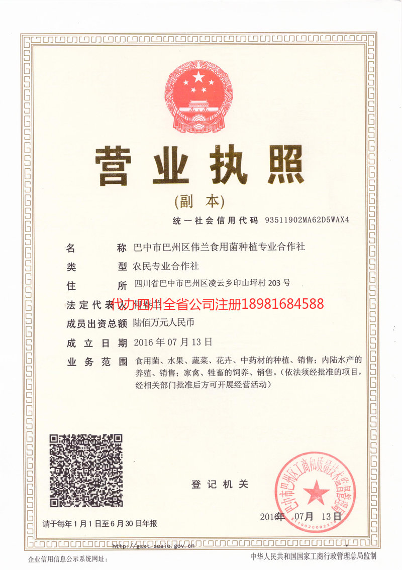 石嘴山石嘴山伟兰食用菌种植专业合作社